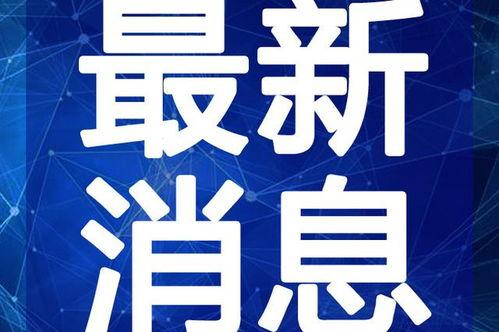 越南猴哥爆料视频最新,最新爆料视频背后的惊人真相